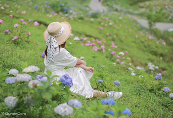 鹿野花塔第 26 张图片
