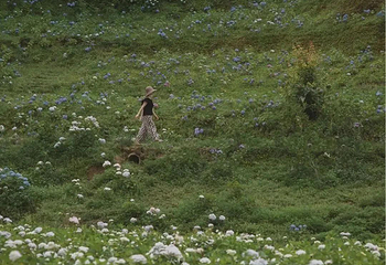 鹿野花塔第 22 张图片
