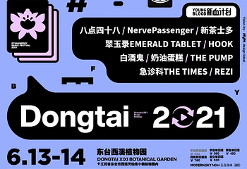 东台西溪草莓音乐节第 2 张图片