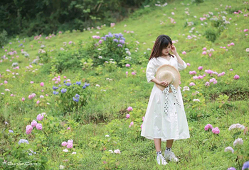 鹿野花塔第 24 张图片