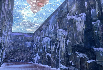 梦幻千岛湖·时光隧道第 12 张图片