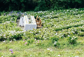 鹿野花塔第 20 张图片