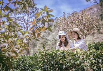 岭南红叶世界第 5 张图片