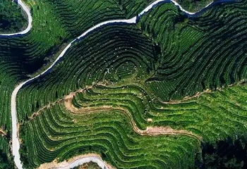 国心绿谷第 3 张图片