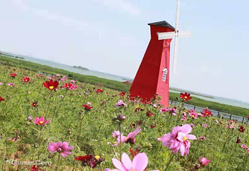 铃兰花海乐园第 7 张图片