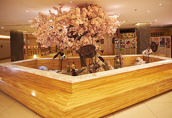 哈尔滨大江户汤池(群力店)第 10 张图片