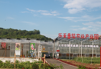乐禾番茄农业产业园第 8 张图片