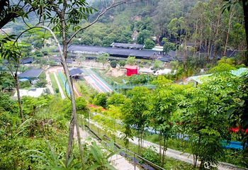 金鸡山霞贯双溪生态园第 7 张图片