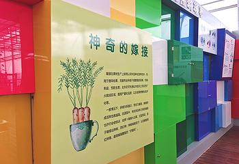 时尚生态谷第 4 张图片