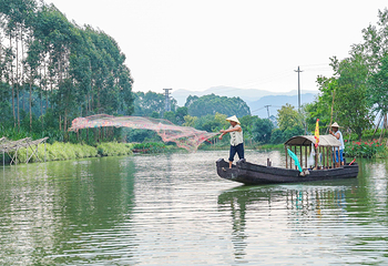 江门古劳水乡旅游区第 49 张图片