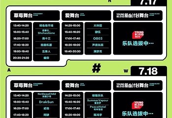 2021阜新草莓音乐节第 4 张图片