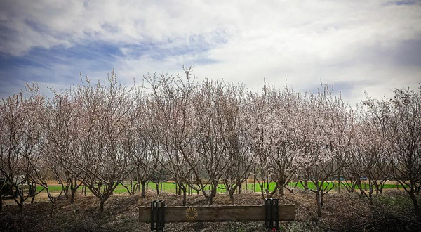 无瓦农场欢乐乡村嘉年华