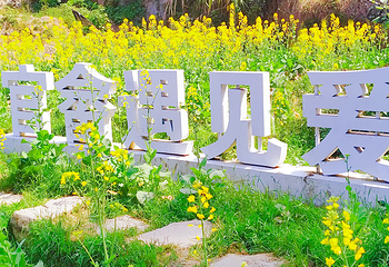 七彩官畲第 62 张图片