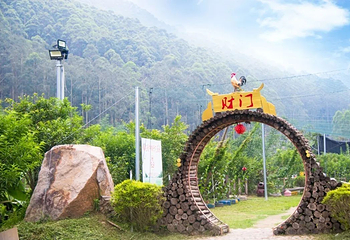 金鸡山霞贯双溪生态园第 12 张图片