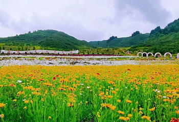 边麻沟花海第 14 张图片