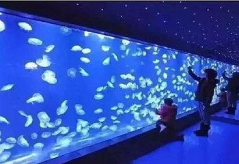 瓦晒湾海洋秘境第 21 张图片
