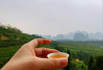 英西峰林·T三有机茶园第 26 张图片