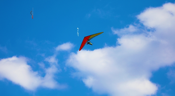 我在飞滑翔俱乐部