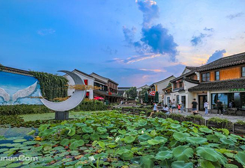 西塘花巷第 6 张图片