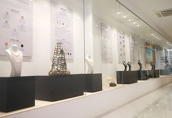 北海市向海丝路文化馆第 2 张图片