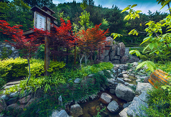 麦积山温泉第 9 张图片