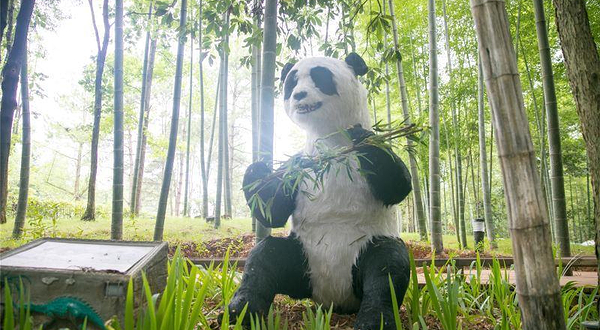 金色年华养生谷