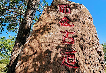 天保那苏图草原旅游度假区第 3 张图片