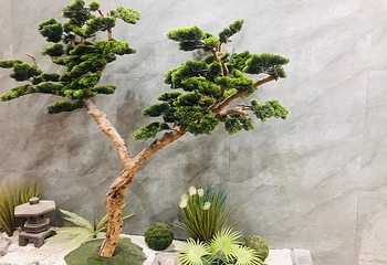 铜陵水沐年代第 9 张图片