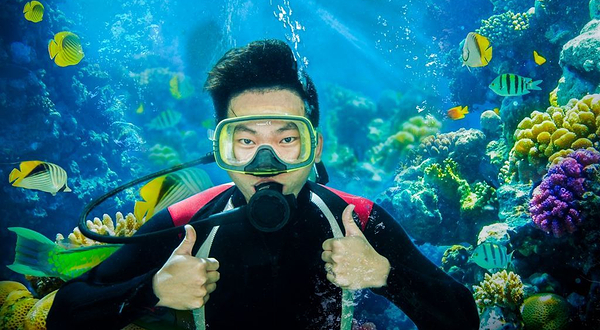 三亚大白鲸潜水俱乐部