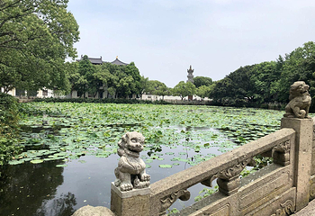 海印池第 4 张图片