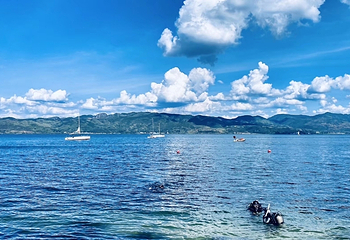 零海拔潜水第 4 张图片