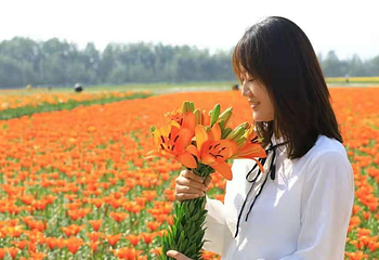 蒙根花万通生态旅游区第 3 张图片