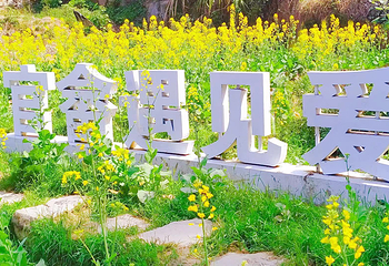 七彩官畲第 25 张图片