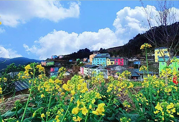 七彩官畲第 41 张图片