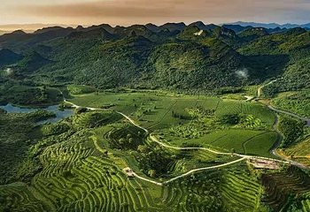 积庆里红茶谷第 6 张图片
