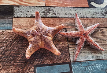 平潭离岛赶海第 1 张图片