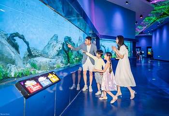 济南融创海世界第 74 张图片