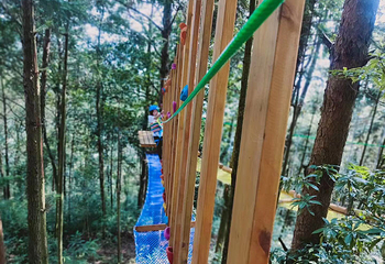 七彩官畲第 47 张图片