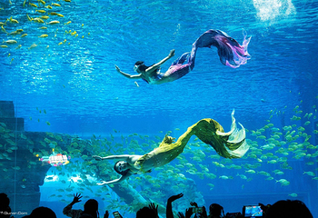 济南融创海世界第 16 张图片
