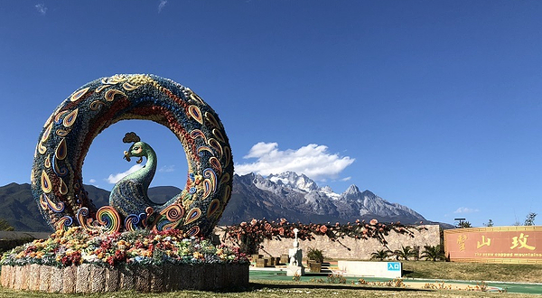 丽江骊骥传奇马术俱乐部