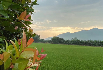 羽航飞行基地第 6 张图片