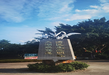 天湖鹭鸟生态风景区第 4 张图片