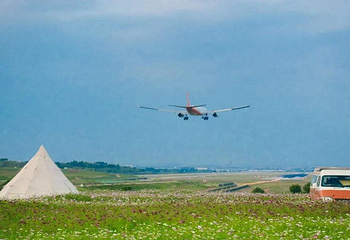空港花田第 18 张图片