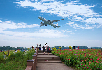 空港花田第 28 张图片