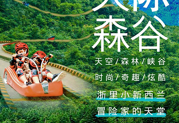 莫干山天际森谷山野乐园第 5 张图片