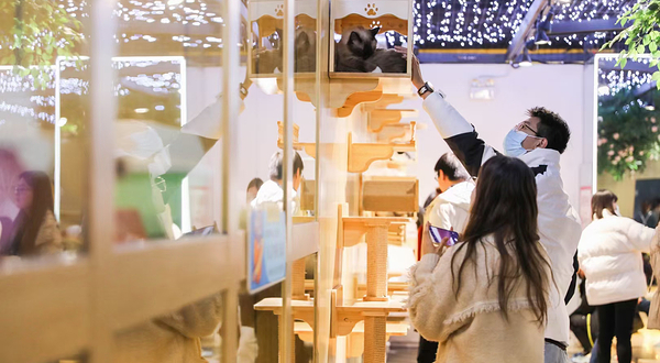 神兽.羊驼主题馆