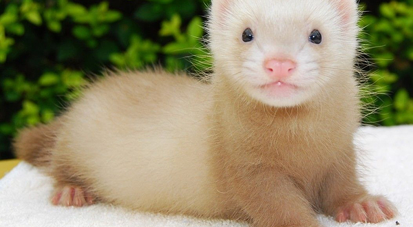 南城汇一城雨林探秘科普乐园