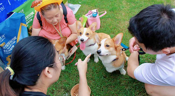 2021天一成都国际宠物博览会（秋季展）