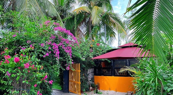 浩海星辰野奢露营