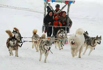 锦州·北镇首届冰雪嘉年华第 2 张图片